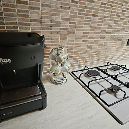 La Finestra Sul Castello Apartment Roppolo